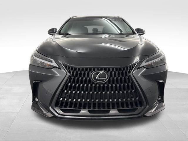 2025 Lexus NX 250 Premium