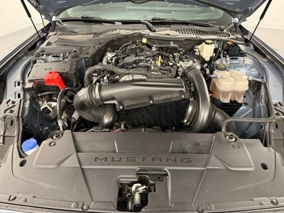 2024 Ford Mustang EcoBoost Premium Fastback