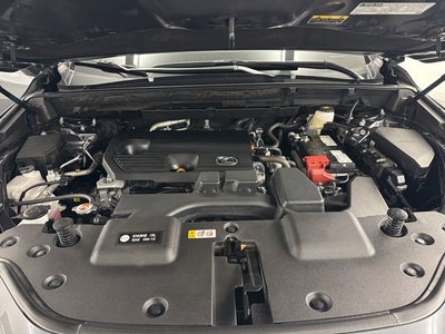 2025 Lexus NX 250 Premium